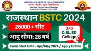 Rajasthan BSTC 2024 Form Link